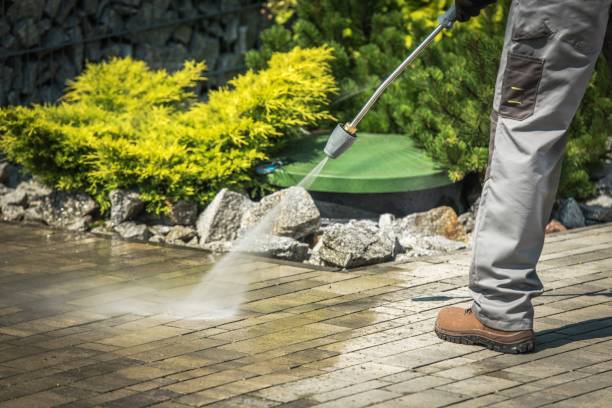 Best Solar Panel Cleaning  in Maywood, NJ